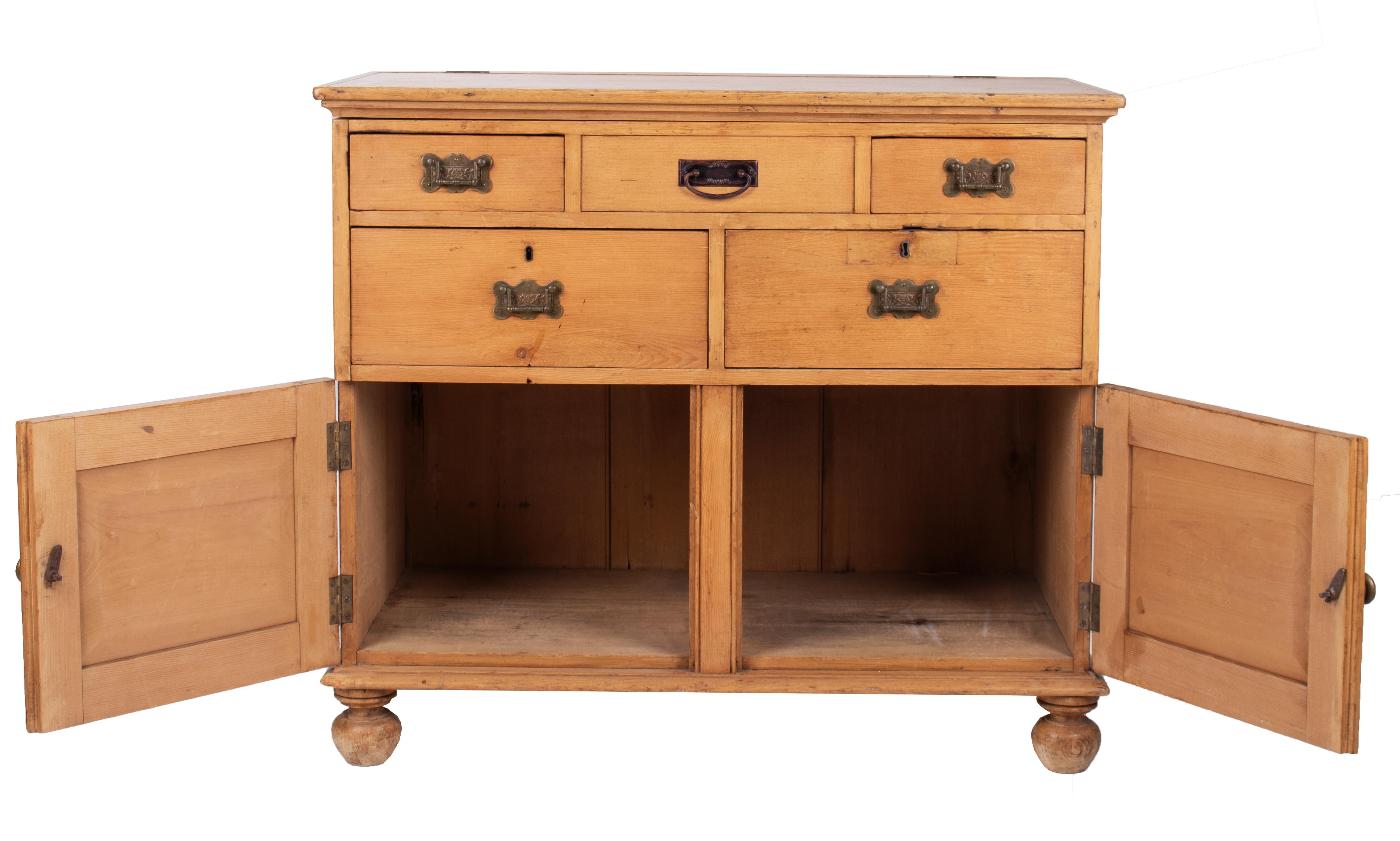 Pine 19th Century French Wash-Room Five-Drawer Chest with Two Panel Doors For Sale