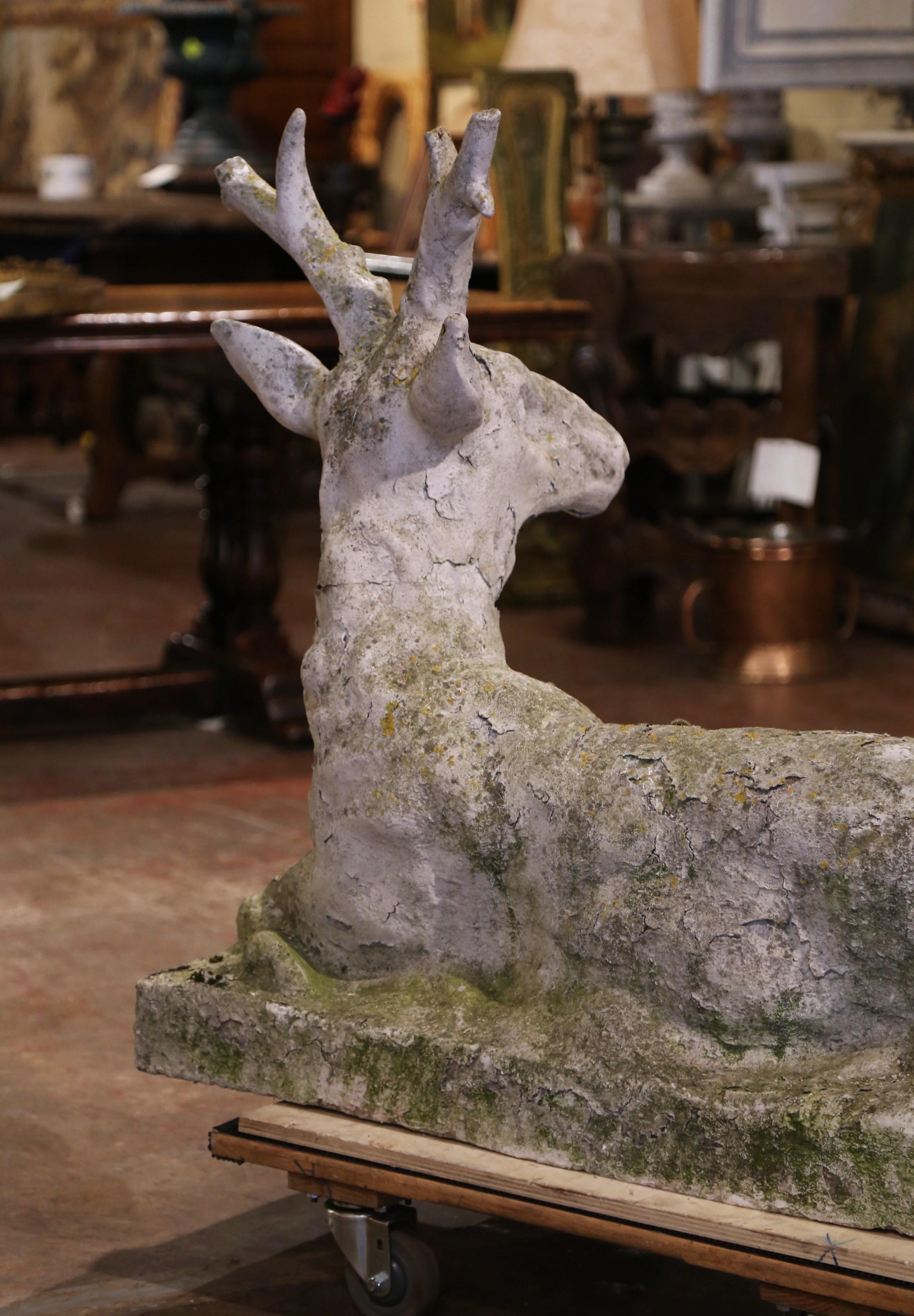 19th Century French Weathered Carved Stone Deer Sculpture Garden Statuary 6