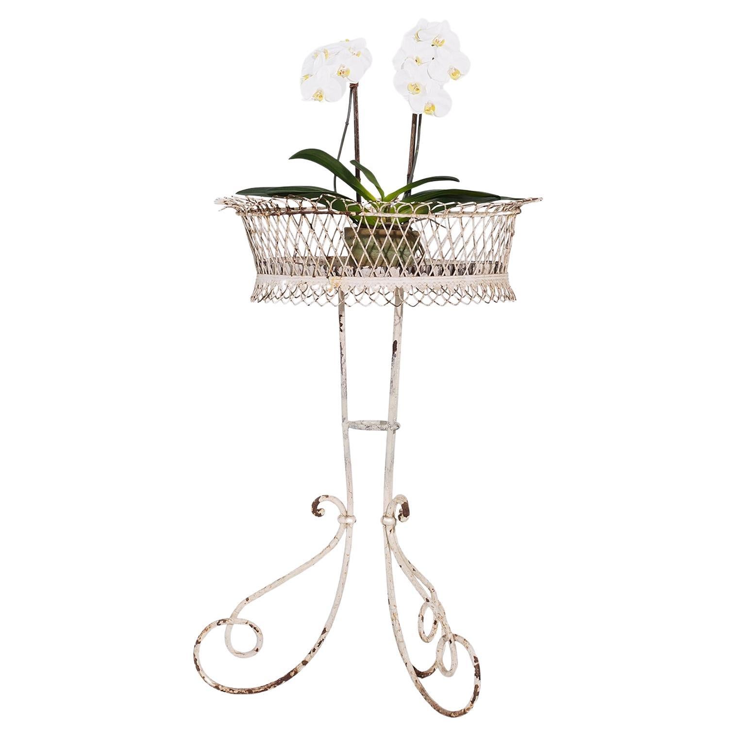 19th Century French White Painted Iron Standing Arras Jardinière - Antique Stand