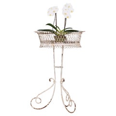 19th Century French White Painted Iron Standing Arras Jardinière - Antique Stand