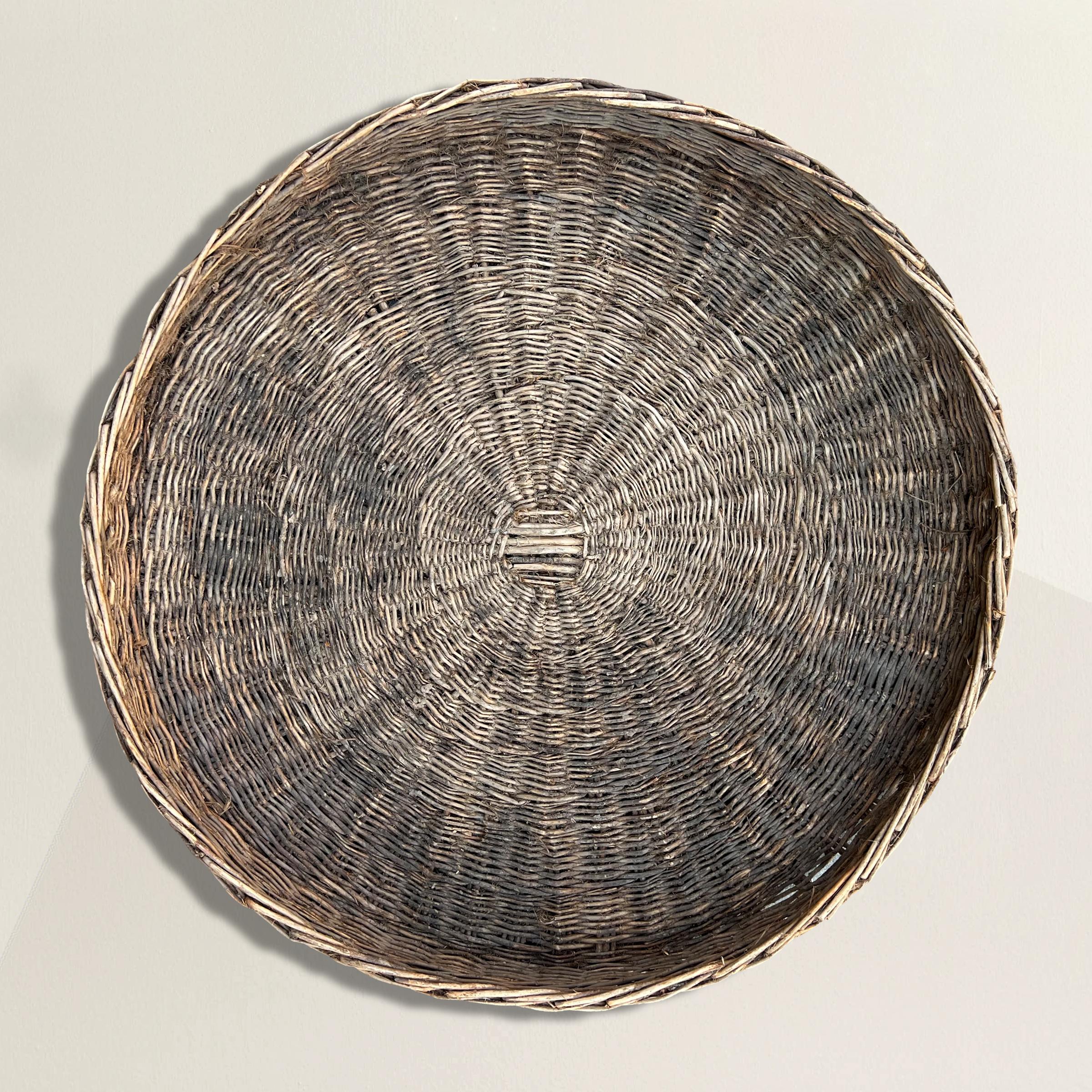 A stunning late 19th century French hand-woven willow winnowing basket with a wonderful patina. Winnowing, in its simplest form, involves throwing wheat into the air allowing the lighter chaff to blow away and leaving the heavier grains to fall back
