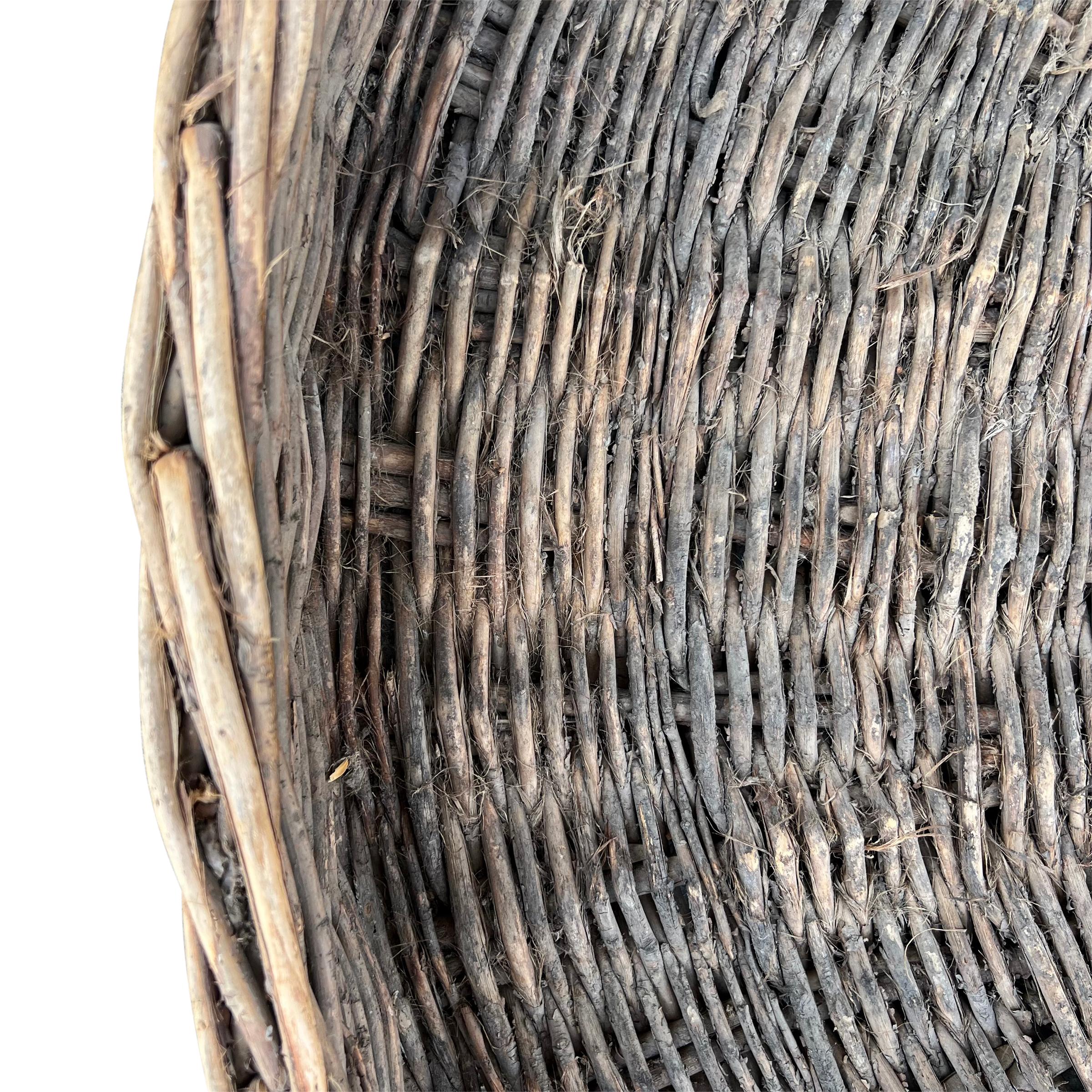 19th Century French Winnowing Basket In Good Condition In Chicago, IL