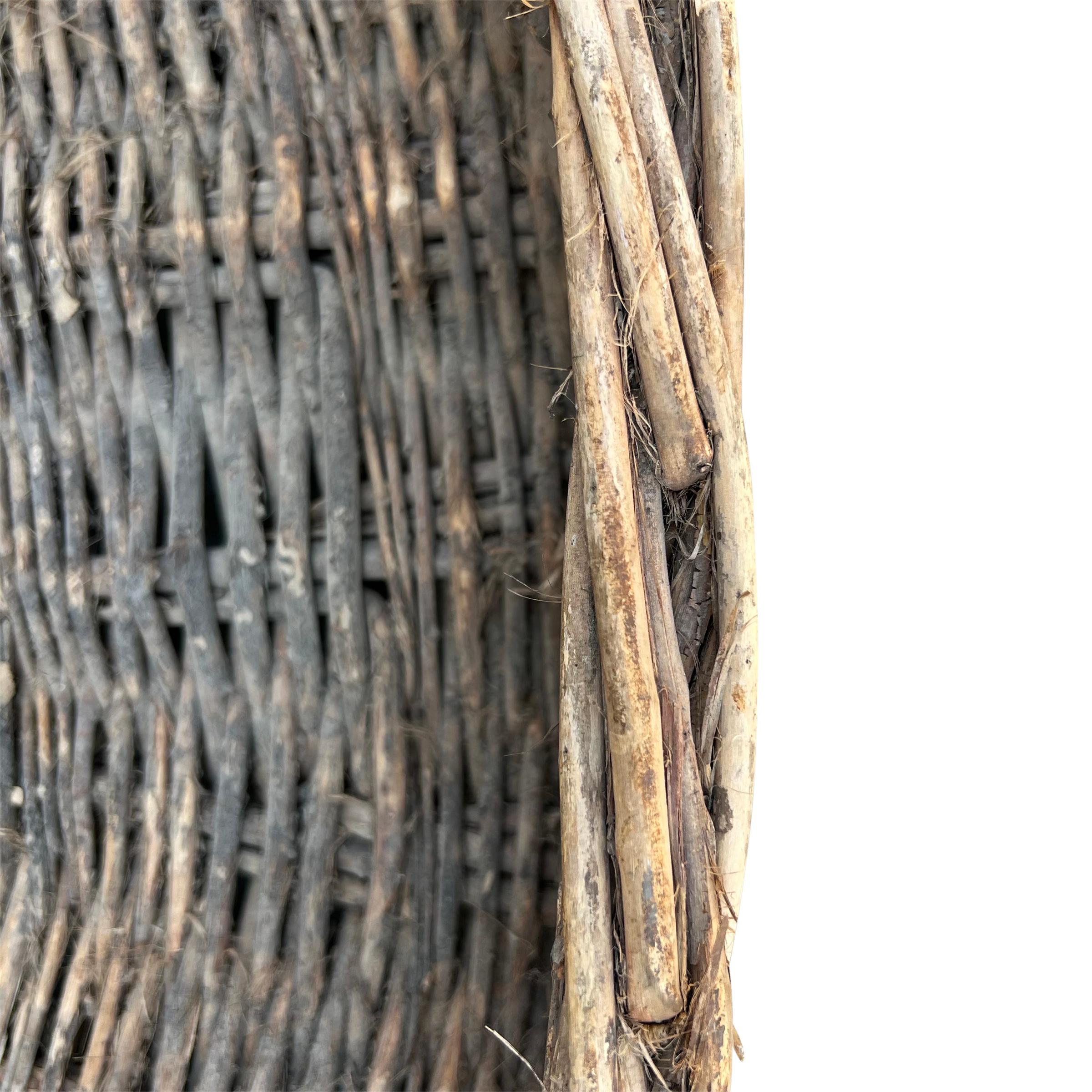 Willow 19th Century French Winnowing Basket