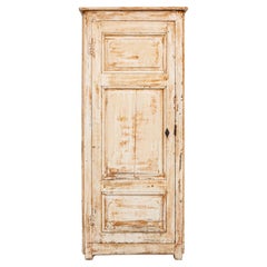 19th Century French Wood Patinated Cabinet