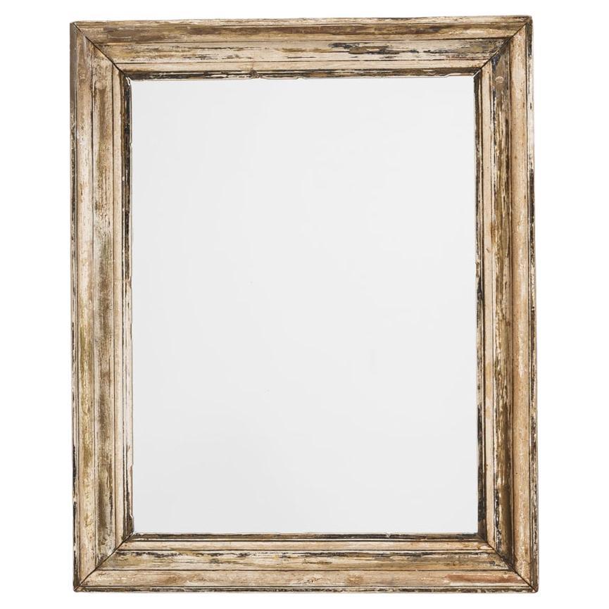 19th Century French Wood Patinated Mirror
