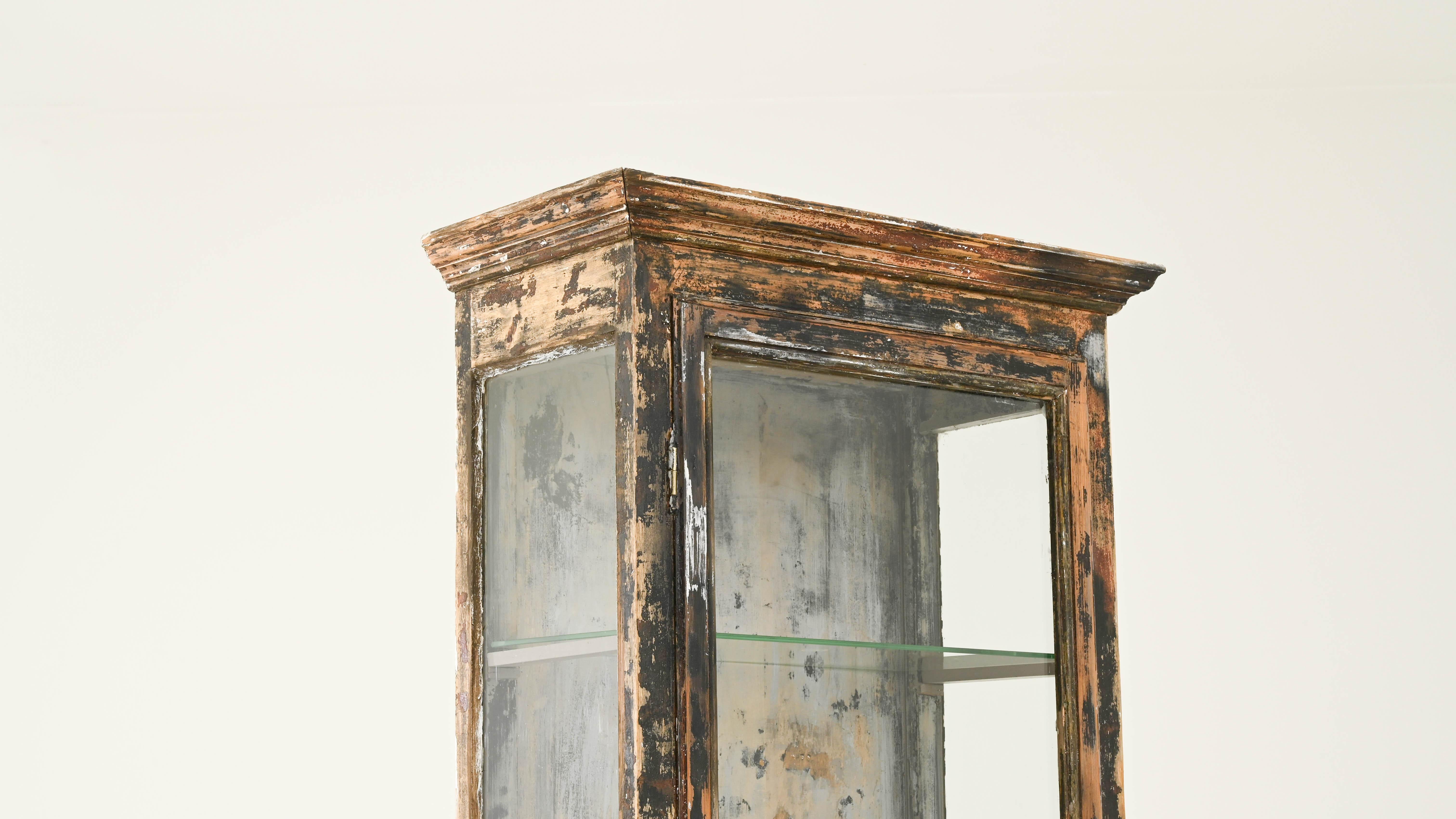19th Century French Wooden Patinated Vitrine For Sale 3