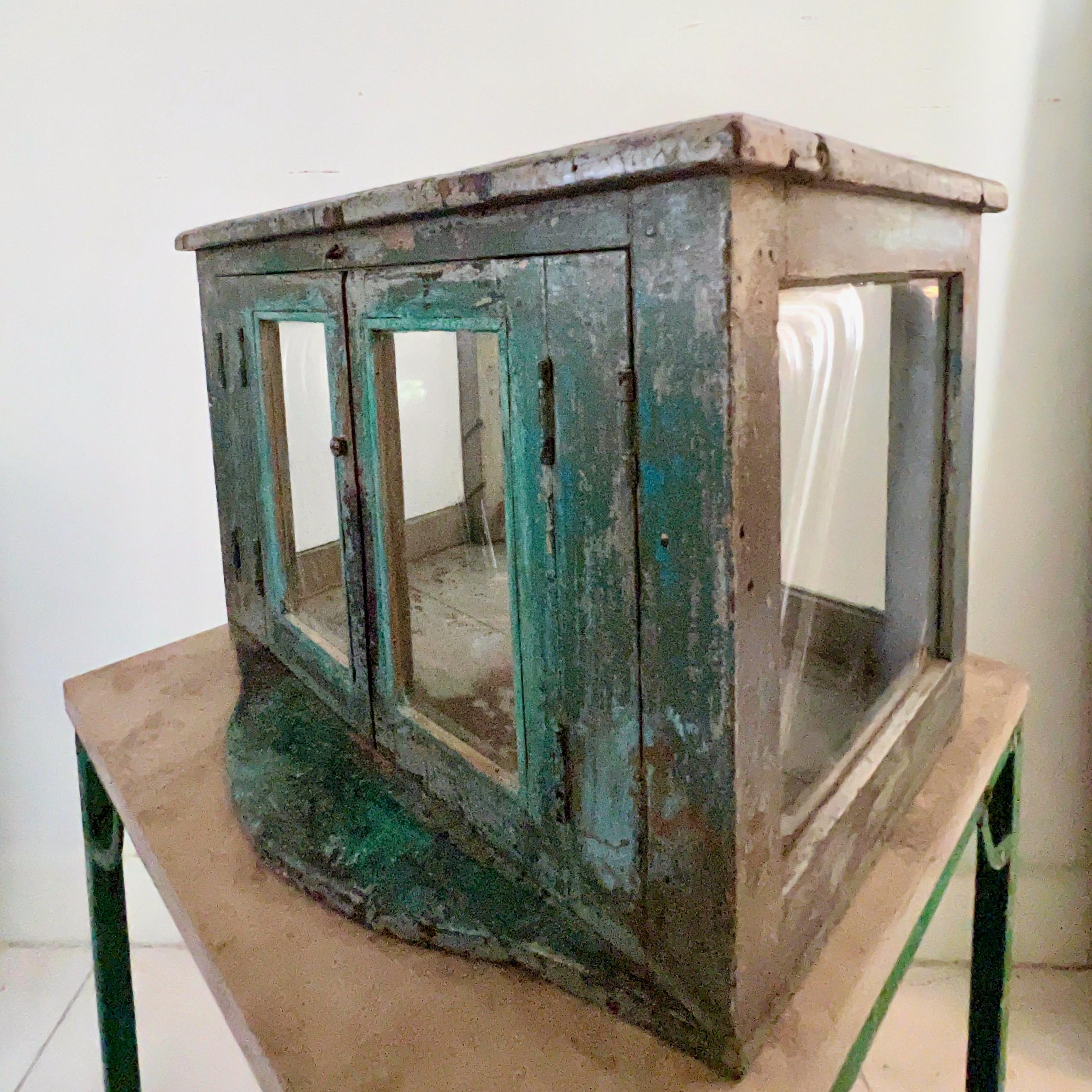 19th Century French Wooden Terrarium with Double Hinged Glass Doors For Sale 4