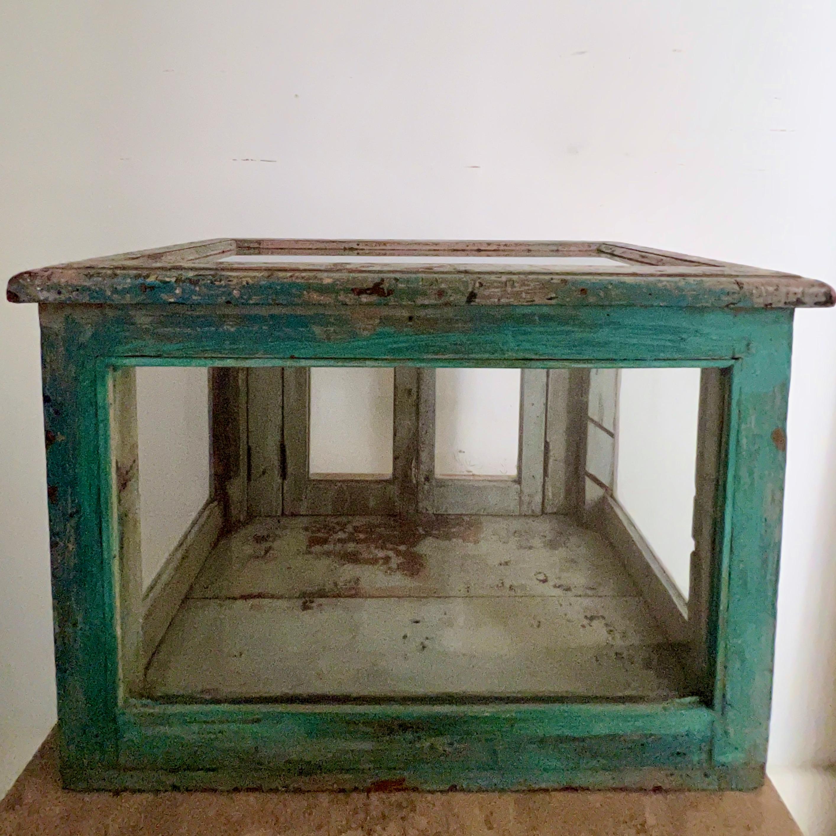 19th Century French Wooden Terrarium with Double Hinged Glass Doors For Sale 6