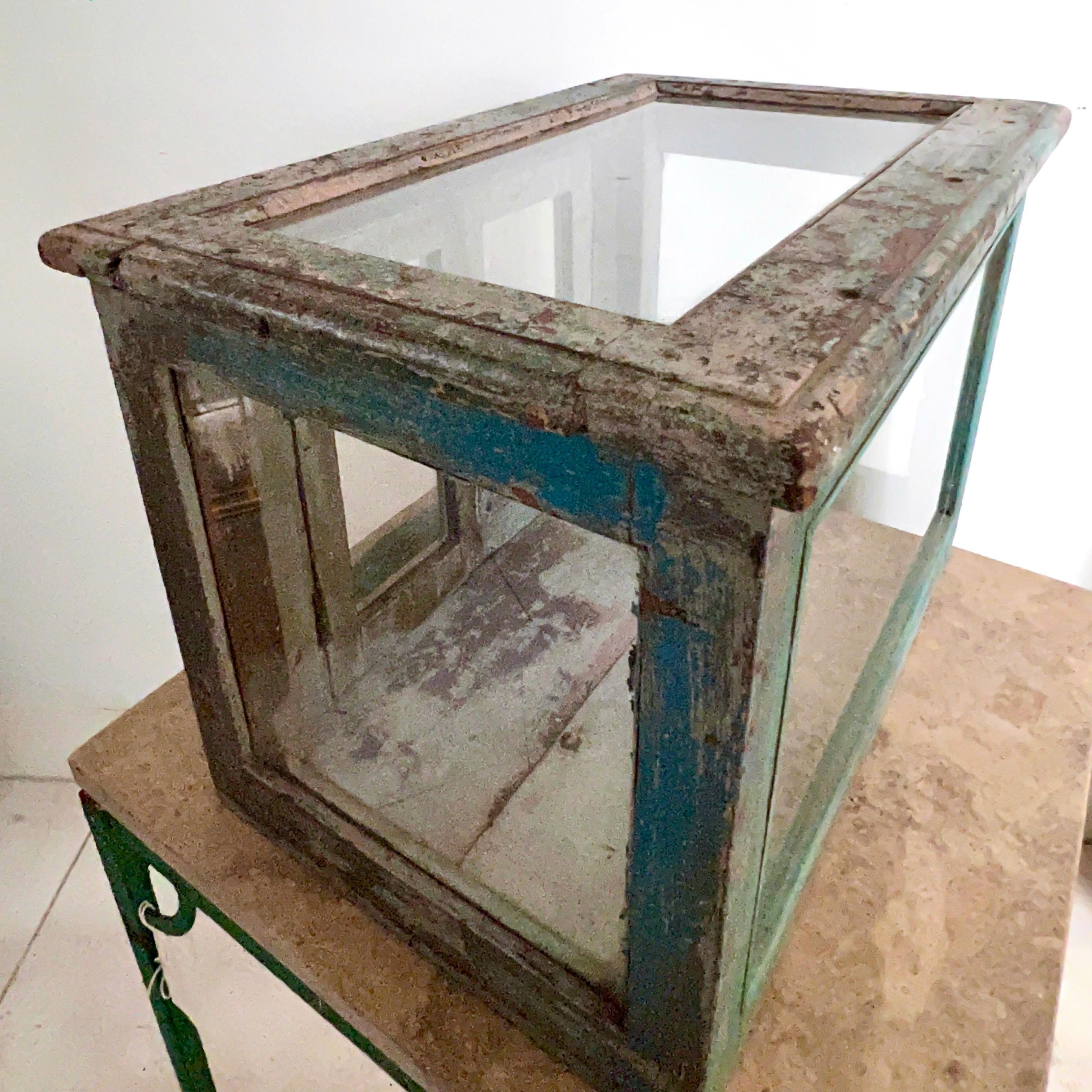 19th Century French Wooden Terrarium with Double Hinged Glass Doors For Sale 9