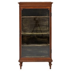 19th Century French Wooden Vitrine