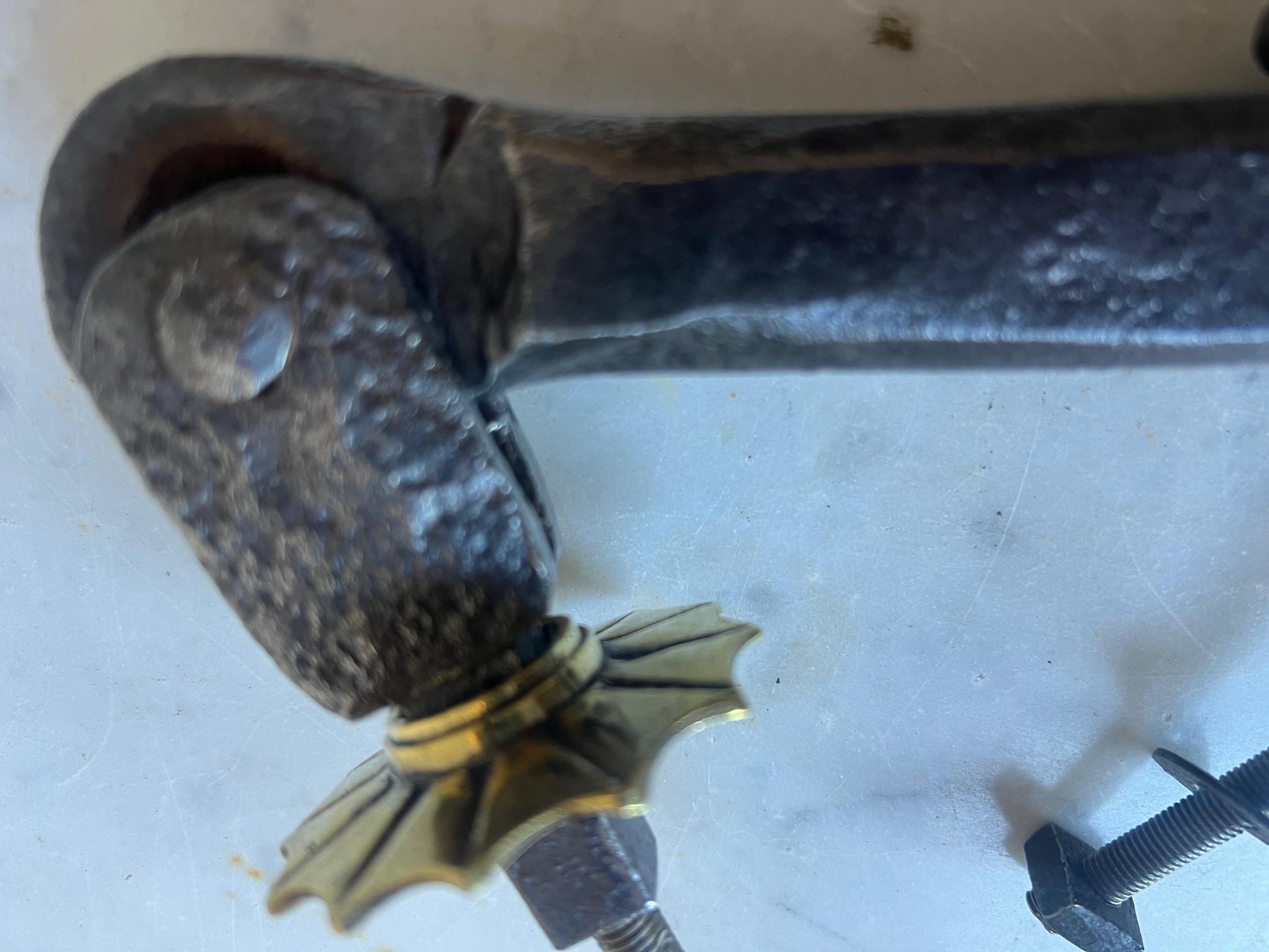 Ferro battuto Battente francese del XIX secolo in ferro battuto e ottone a stella in vendita
