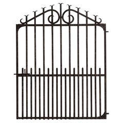 19th Century French Wrought Iron Door with Matte Black Accents