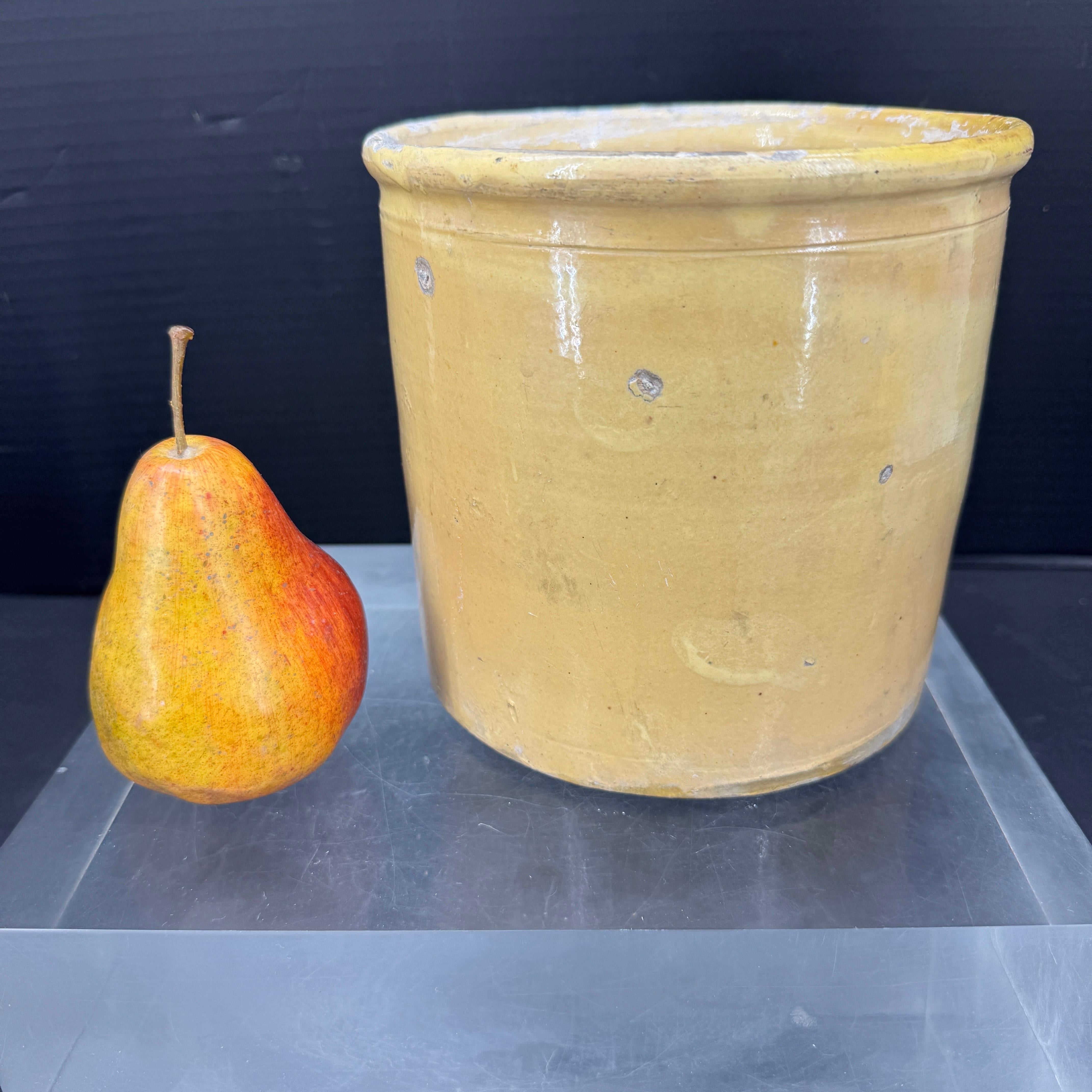 Telle qu'on la trouve en Provence, cette jardinière française antique date de la fin du 19e siècle. Fabriquée à la main en France, cette urne présente un aspect joliment patiné. Elle compléterait à merveille une collection de poteries françaises