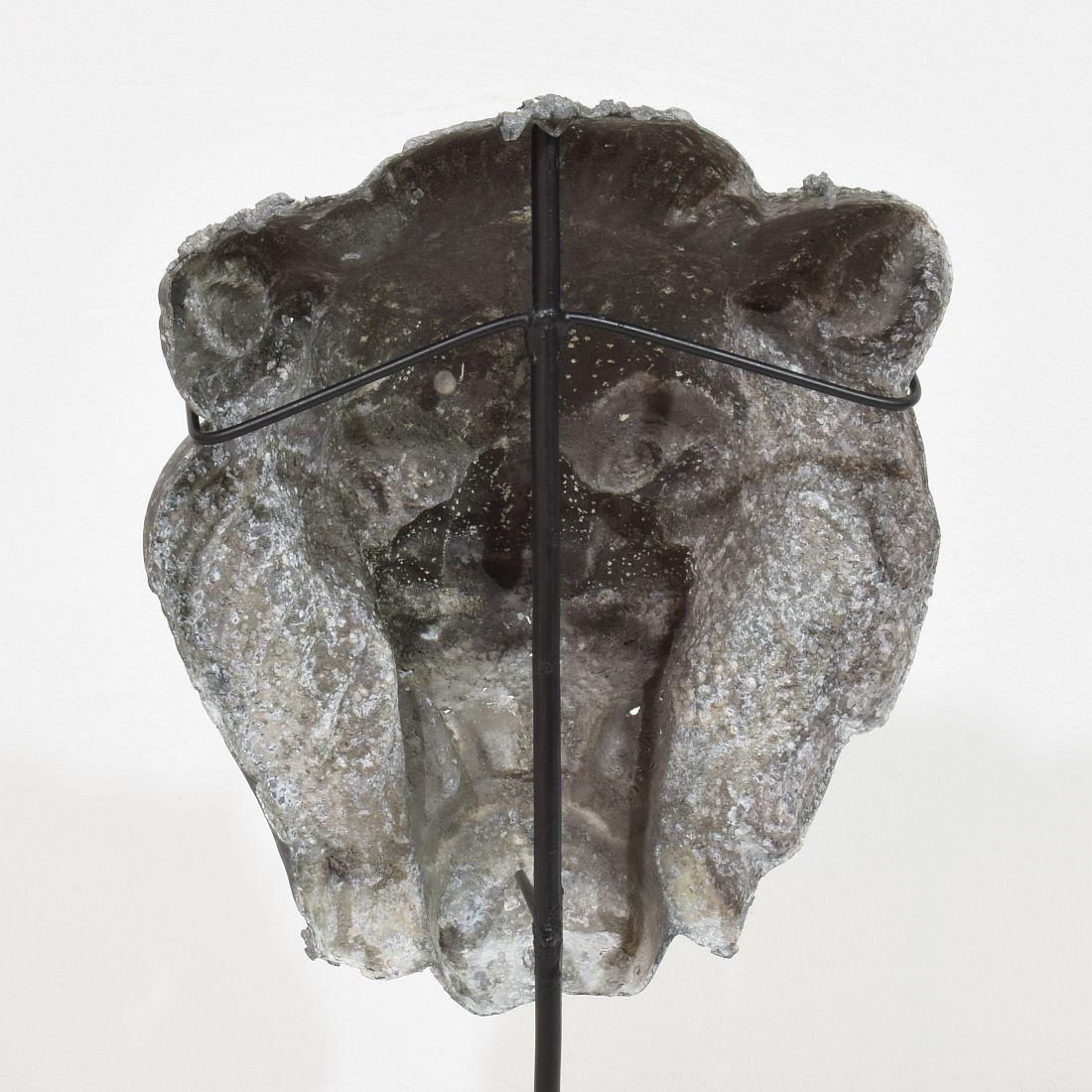 19th Century, French Zinc Lion Head Fragment 7