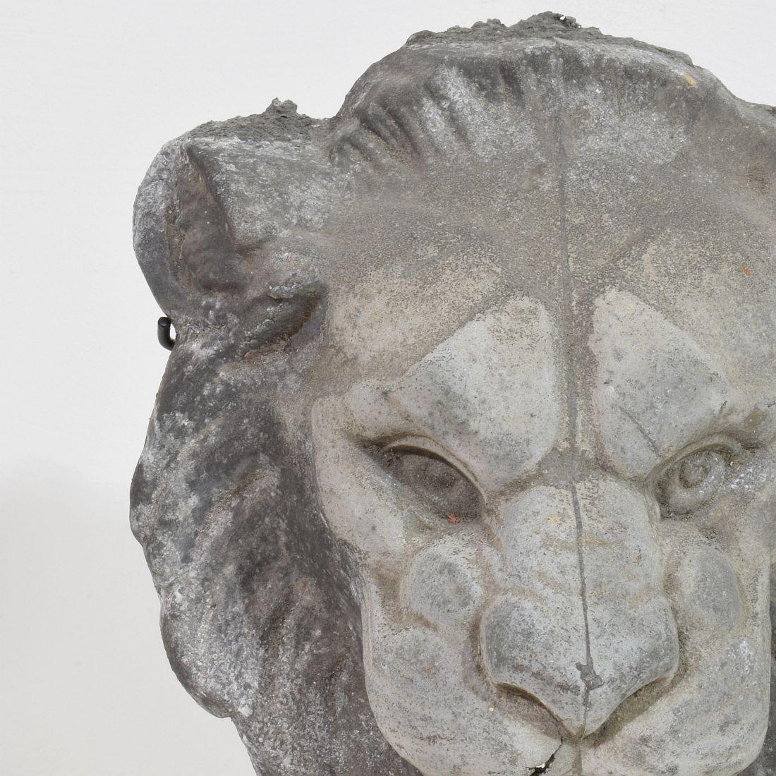 19th Century, French Zinc Lion Head Fragment 8
