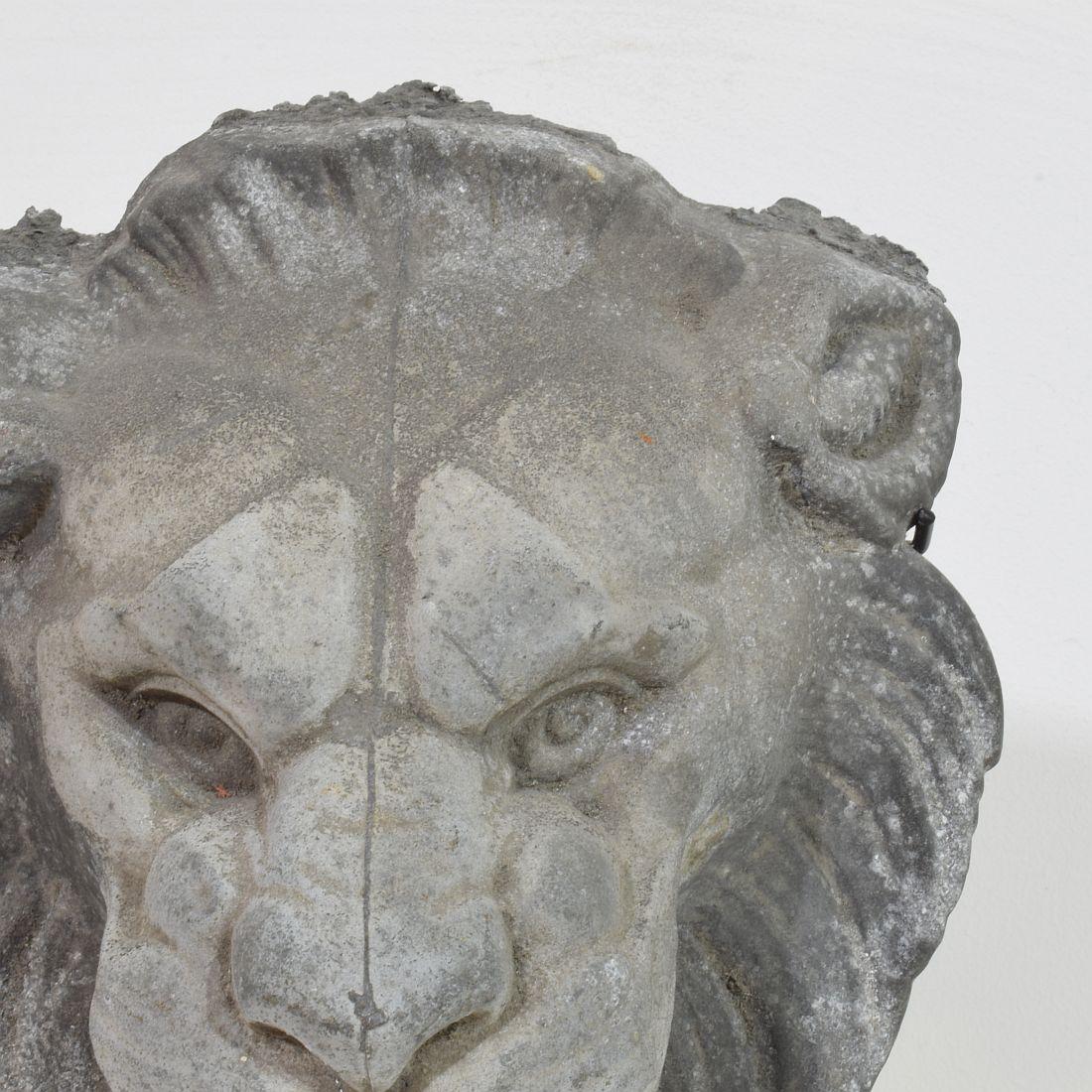 19th Century, French Zinc Lion Head Fragment 9