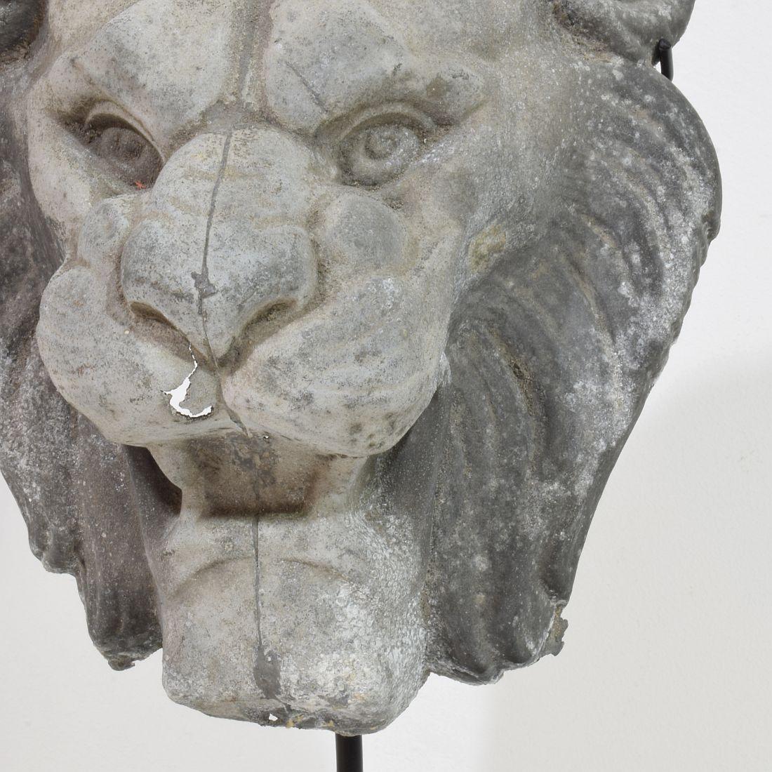 19th Century, French Zinc Lion Head Fragment 11