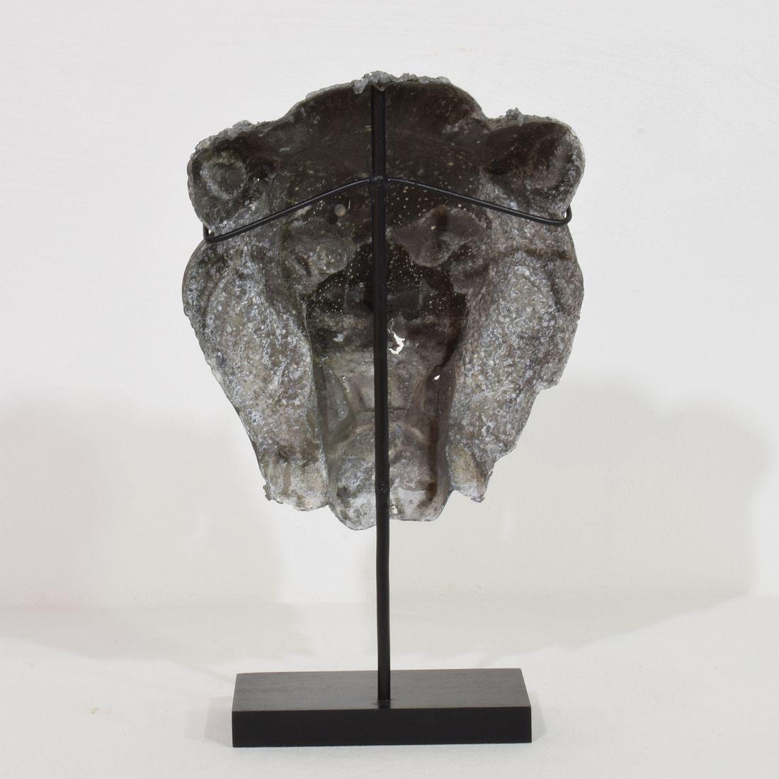 19th Century, French Zinc Lion Head Fragment 2