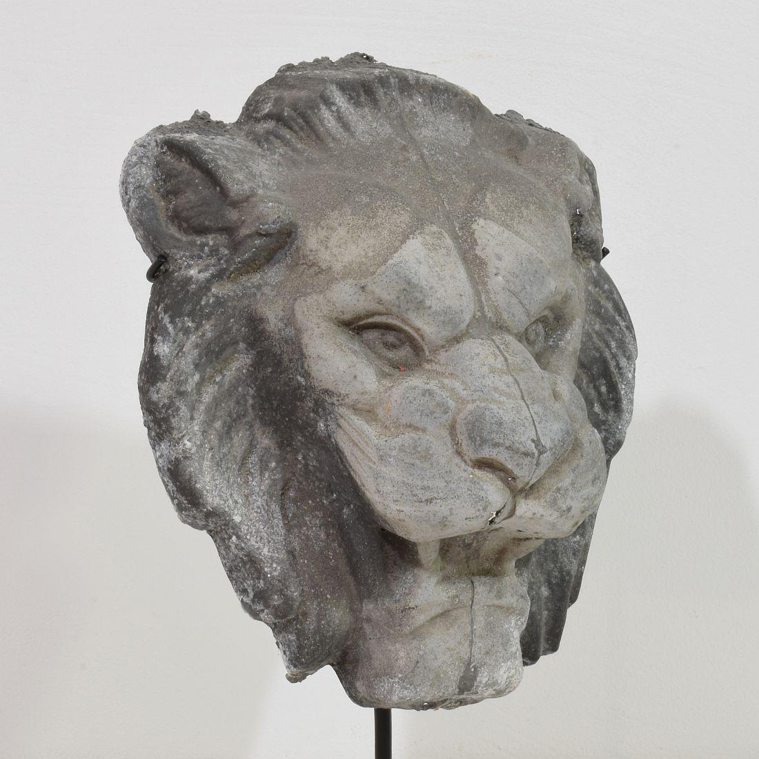 19th Century, French Zinc Lion Head Fragment 4