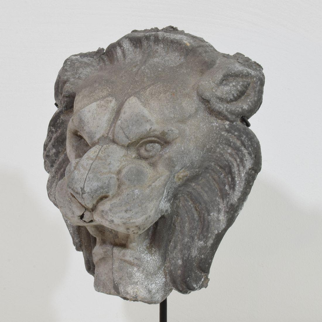 19th Century, French Zinc Lion Head Fragment 6