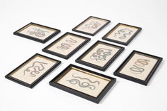 19th Century French Zoological Snake Engraving