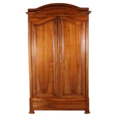 19th Century Fruitwood Armoire from France