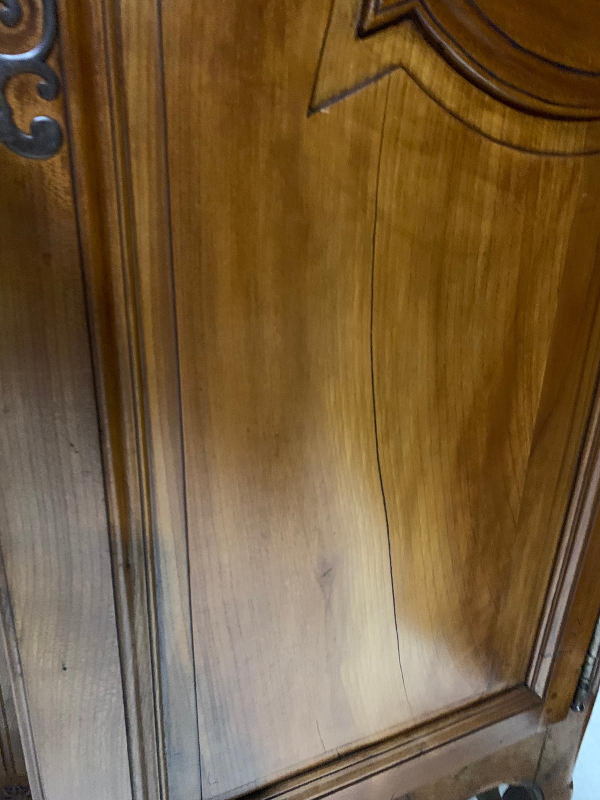 19th Century Fruitwood Armoire with Wire Doors 9