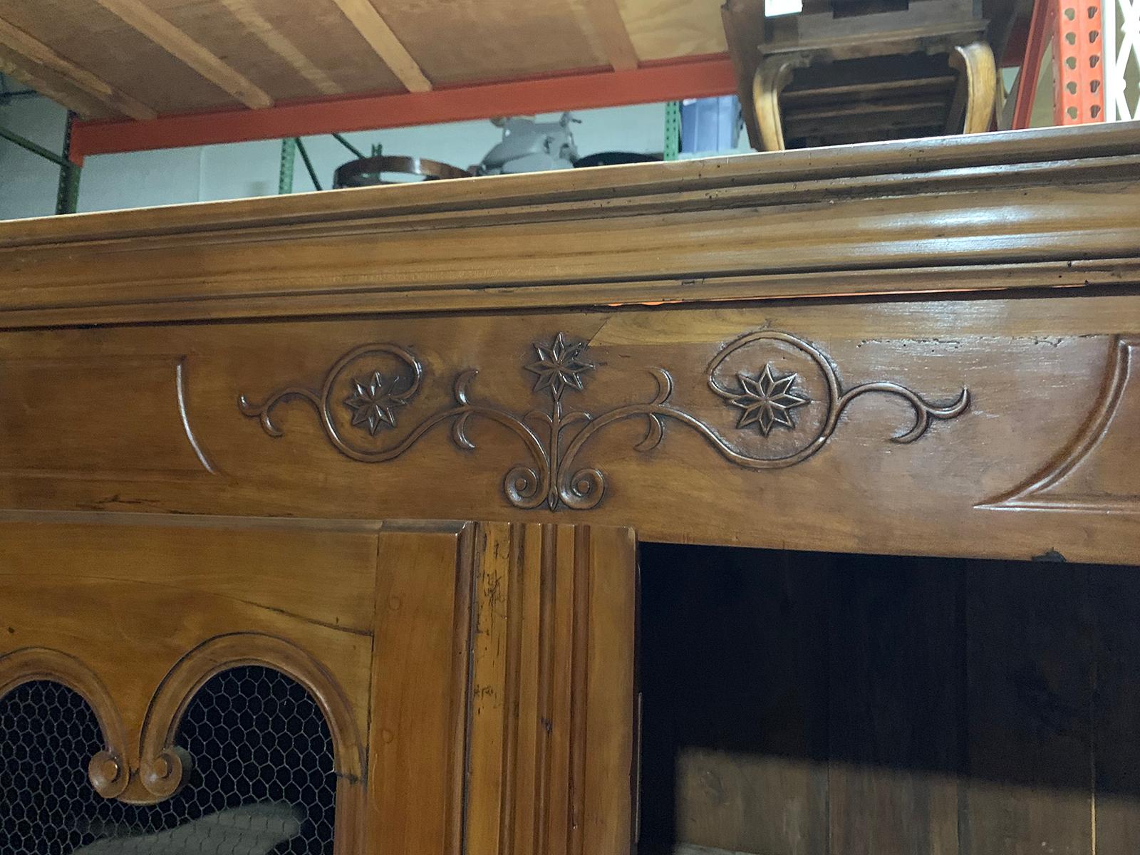 19th Century Fruitwood Armoire with Wire Doors 4