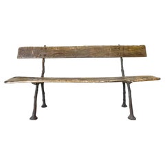 Antique 19th Century Garden Bench with Cast Iron Tree Branch Frame