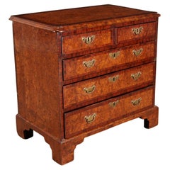 19th Century George II Style Burl Wood and Banded Mahogany Chest of Drawers