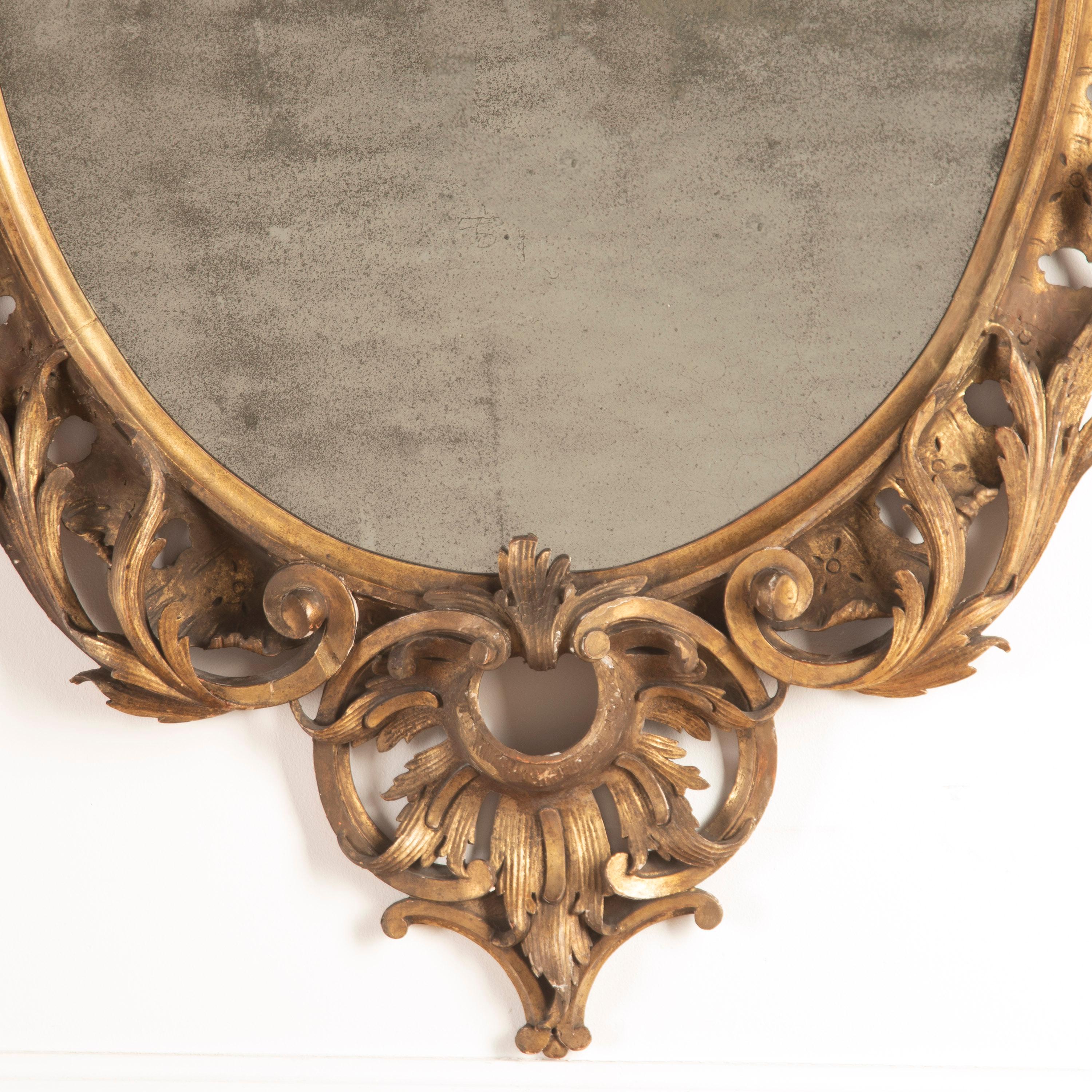 Beautifully carved and gilt limewood English mid-19th Century mirror.

This mirror was created after the earlier designs of Matthias Lock.

It has a beautiful mercury mirror plate and exceptional carvings throughout. This flamboyant mirror is