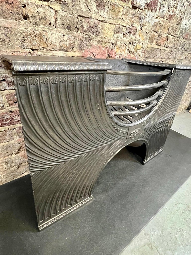 19th Century Georgian Cast Iron Hob Grate Fireplace For Sale at 1stDibs