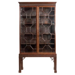 Antique 19th Century Georgian Chinese Chippendale Two-Door Display Cabinet