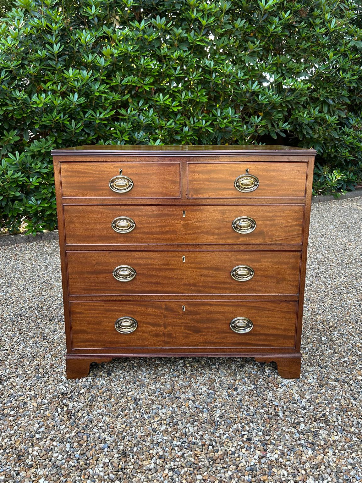 Cassettiera georgiana in mogano del XIX secolo In condizioni buone in vendita a Richmond, Surrey