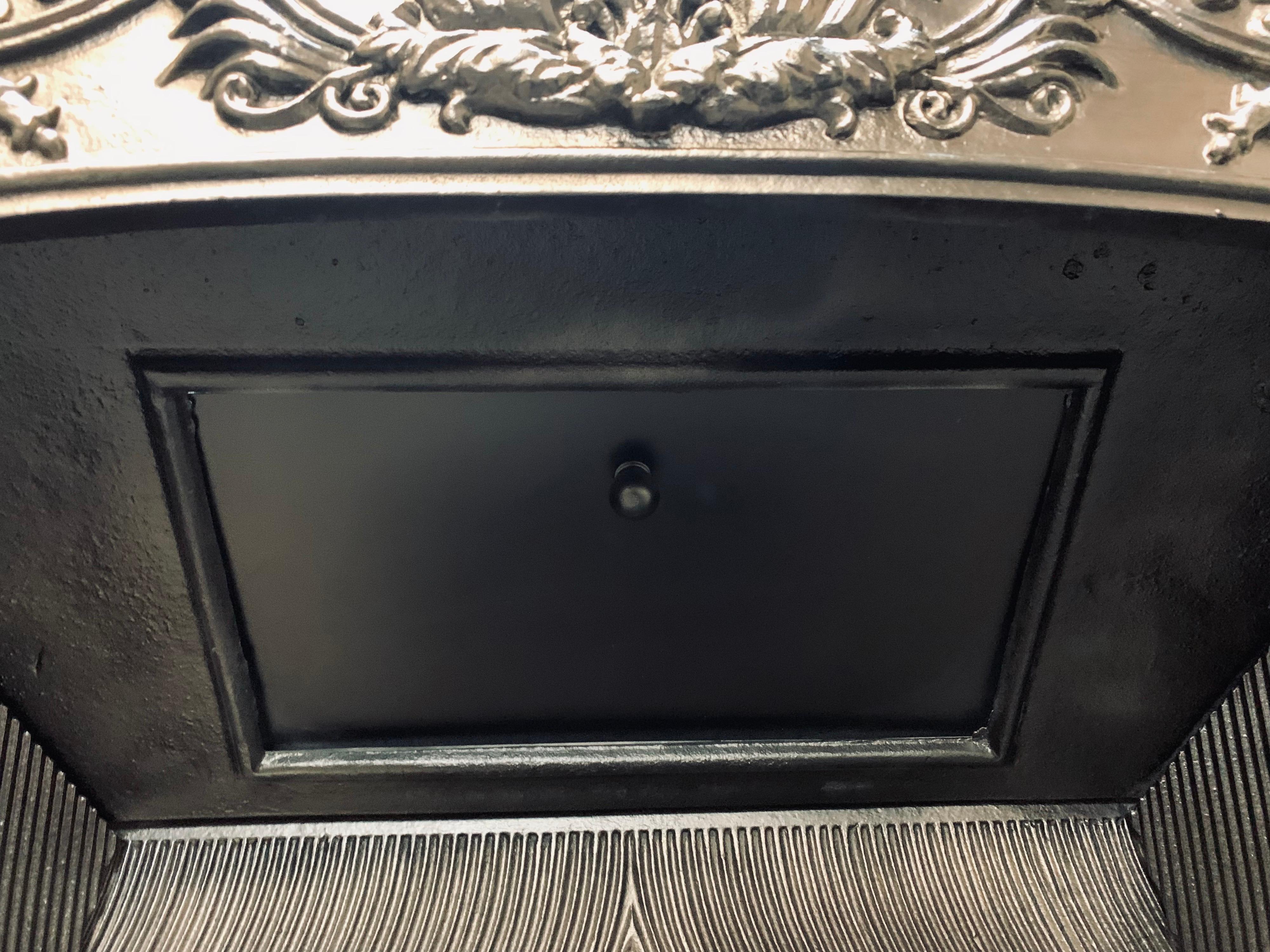 19th Century Georgian Style Hob Grate Fireplace Insert For Sale 4