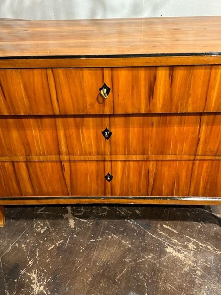 19th Century German Biedermeier Cherrywood and Ebonized Commode In Good Condition For Sale In Dallas, TX