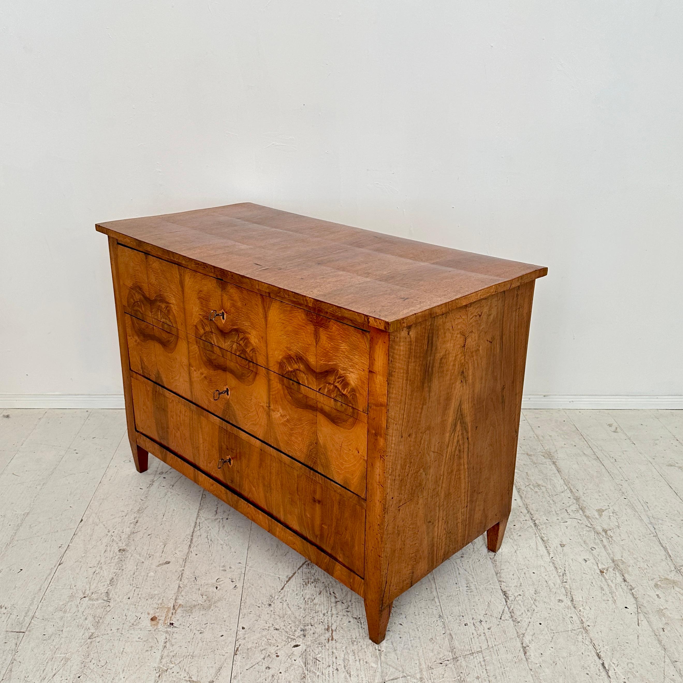 19th Century German Biedermeier Chest of Drawers in Walnut with 3 Drawers, 1820 For Sale 6