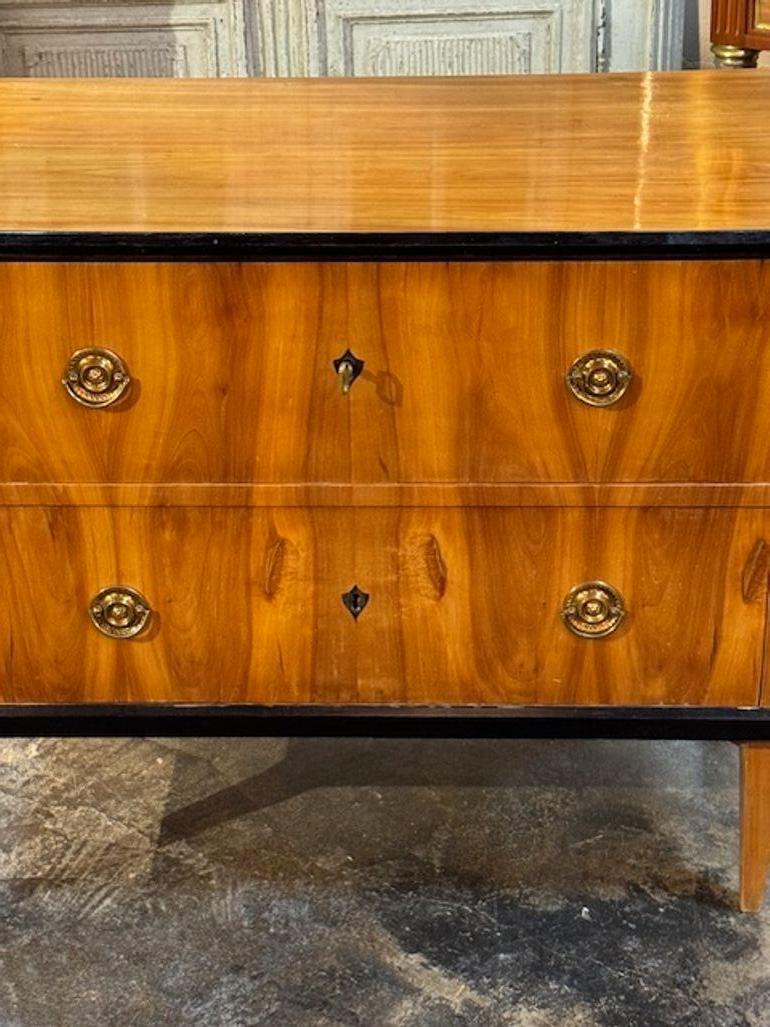 Tedesco Cassapanca Biedermeier tedesca del XIX secolo con dettagli ebanizzati in vendita
