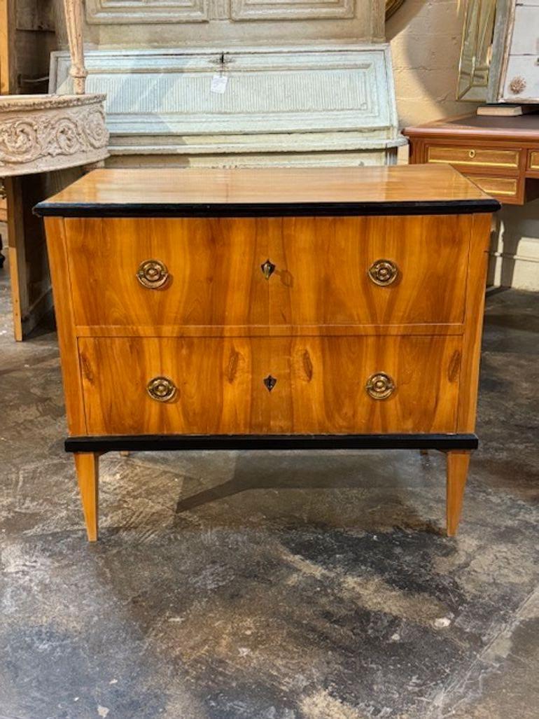 Cassapanca Biedermeier tedesca del XIX secolo con dettagli ebanizzati In condizioni buone in vendita a Dallas, TX