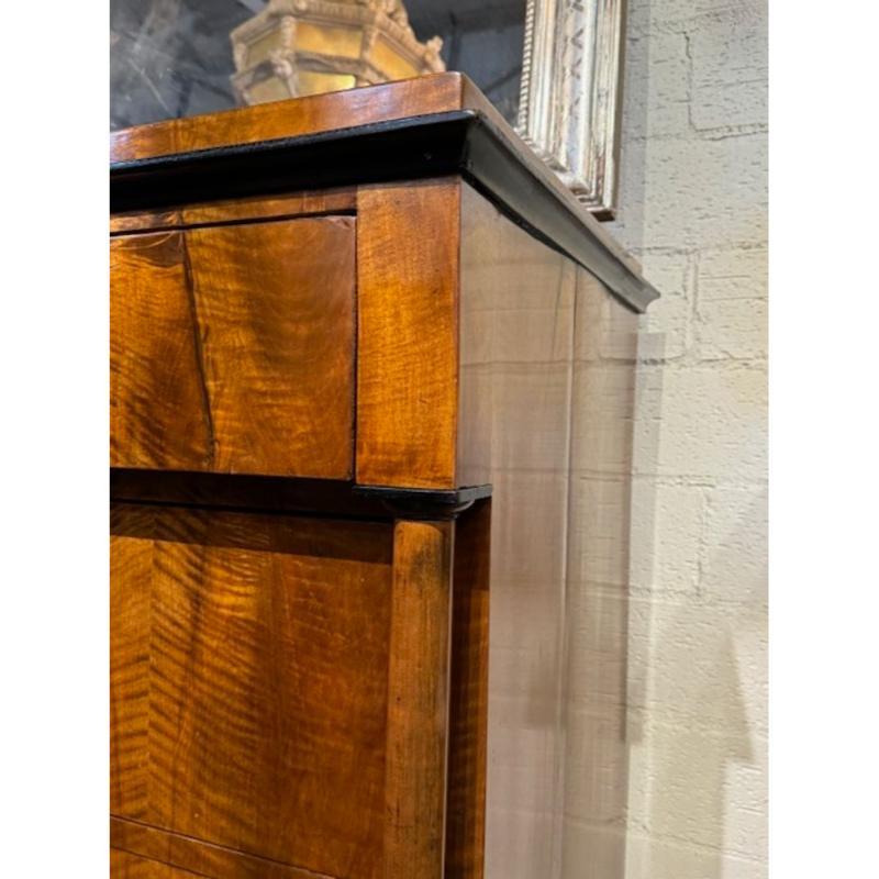 Commode Biedermeier tedesco del XIX secolo in vendita 5