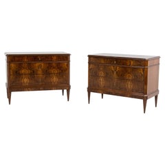 19th Century German Biedermeier Pair of Antique Veneered Walnut Chests