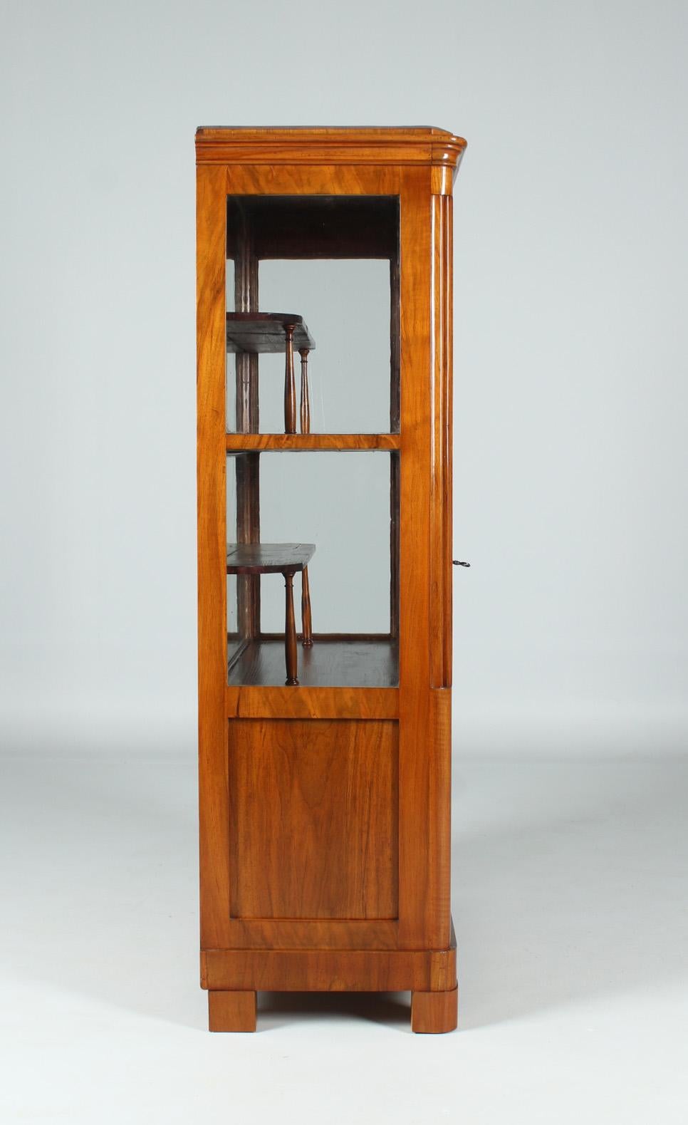19th Century German Biedermeier Vitrine, Bookcase, Walnut, c. 1835 For Sale 7