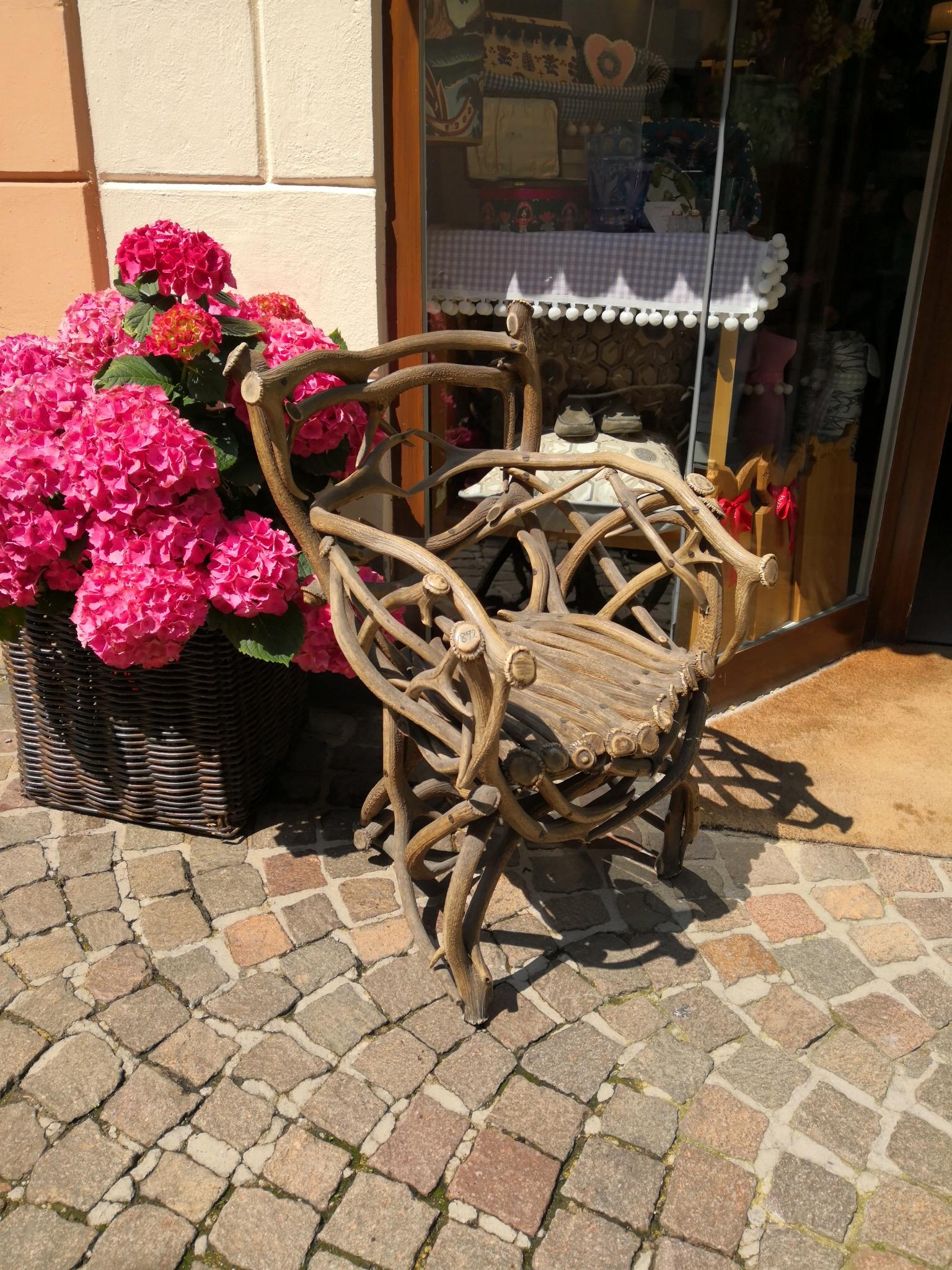 19th Century German Black Forest Antler Trophy Armchair 5