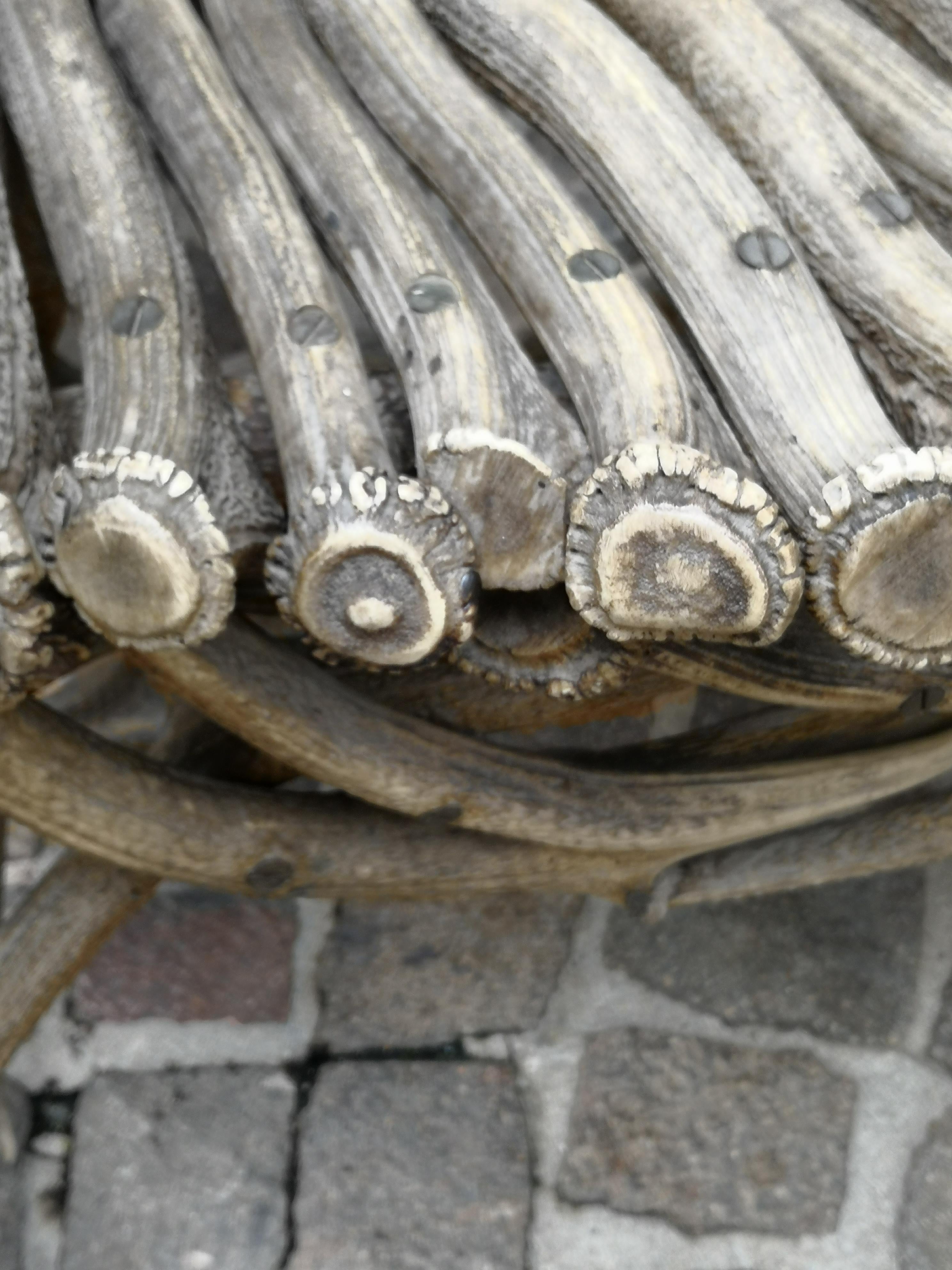 19th Century German Black Forest Antler Trophy Armchair 2