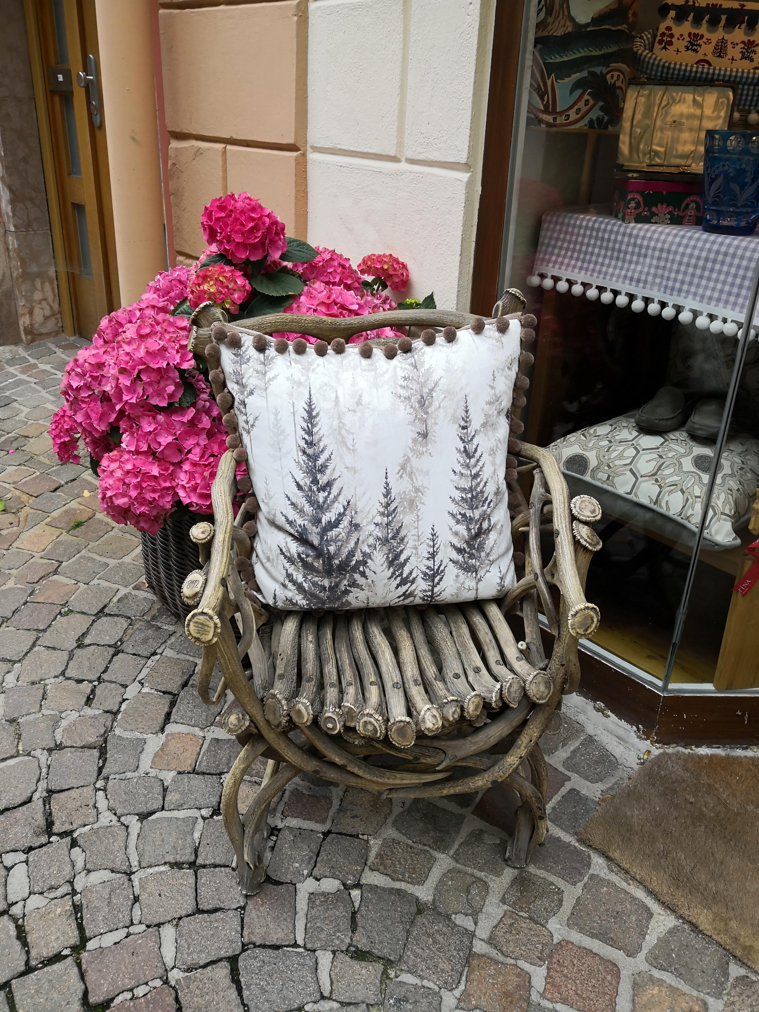 19th Century German Black Forest Antler Trophy Armchair 4