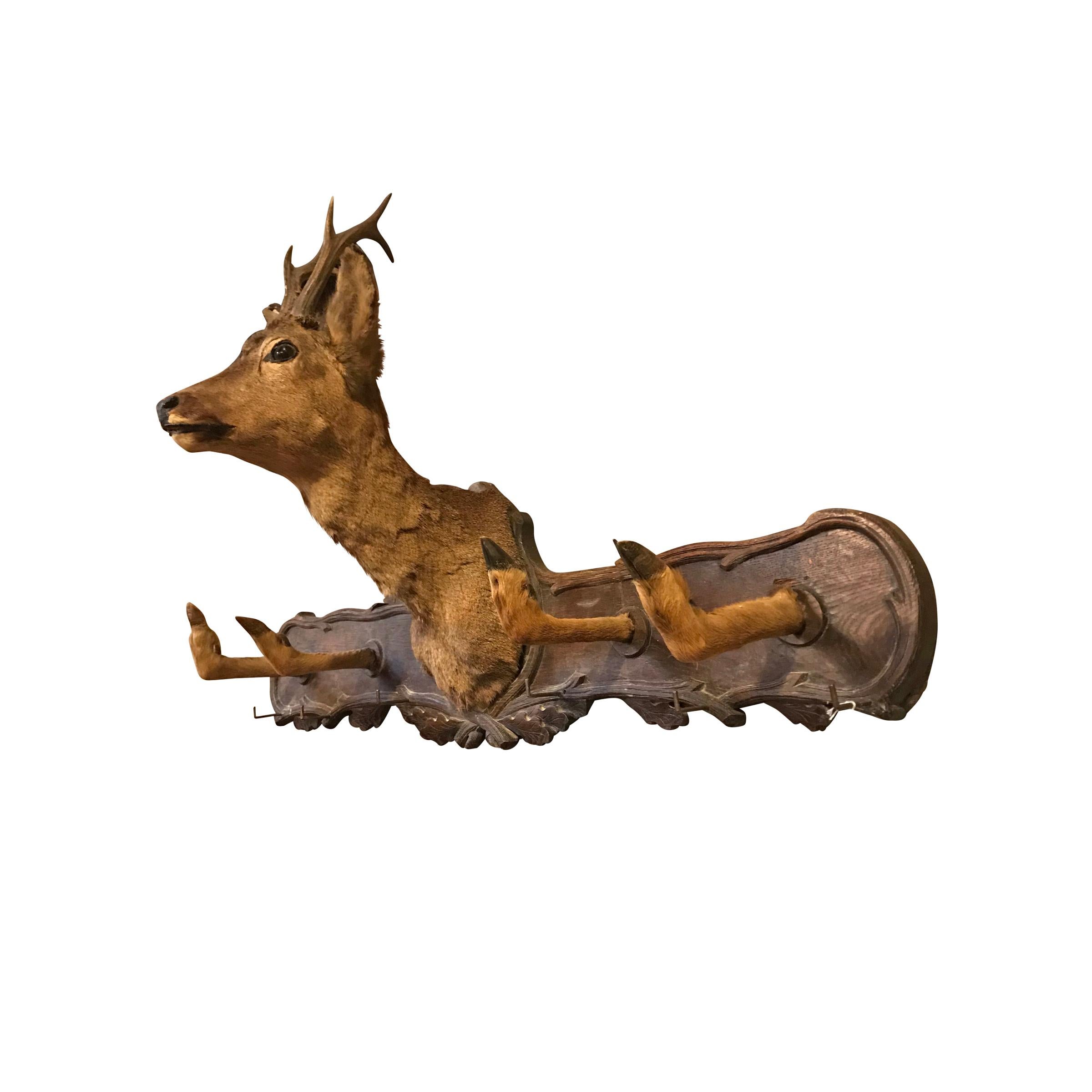 A whimsical 19th century German black forest deer hat or coat rack with a small roe deer mount with four roe deer legs as hooks, mounted to a carved walnut back with oak leaves, and additional small metal hooks.