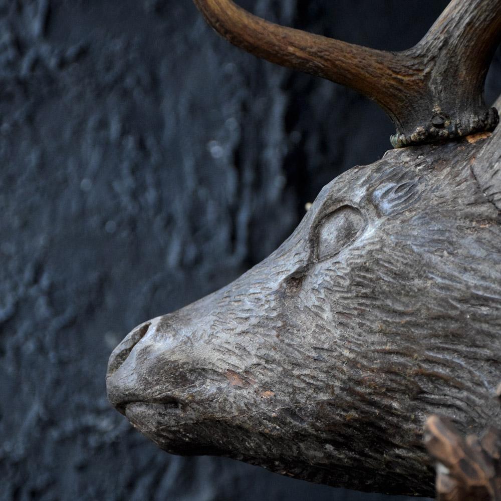 19th Century German Carved Deer’s Head Trophy 3