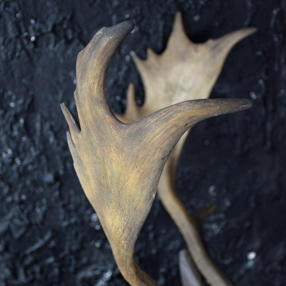 Wood 19th Century German Carved Deer’s Head Trophy