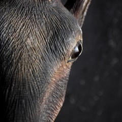 Deutscher geschnitzter Holz Hirschkopf aus dem 19. Jahrhundert