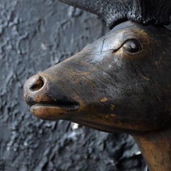 19th Century German Deer’s Trophy Head